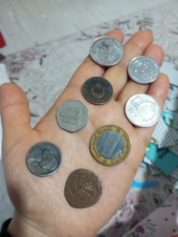 Çeşitli Madeni Paralar - Görsel 2