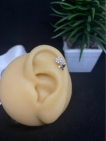 Gold & Gümüş Helix Piercing