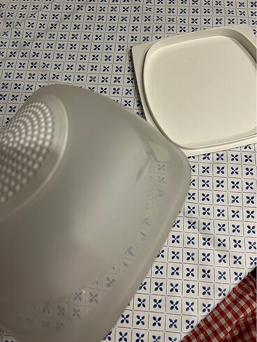  Beden Tupperware peynir dünyası