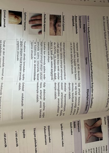 Sağlık Tanılaması ve Fiziksel Muayene Kitabı - Görsel 2