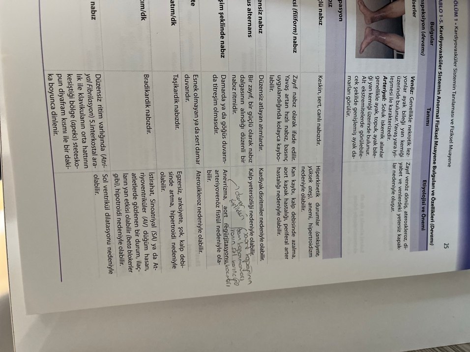 Sağlık Tanılaması ve Fiziksel Muayene Kitabı - Görsel 3