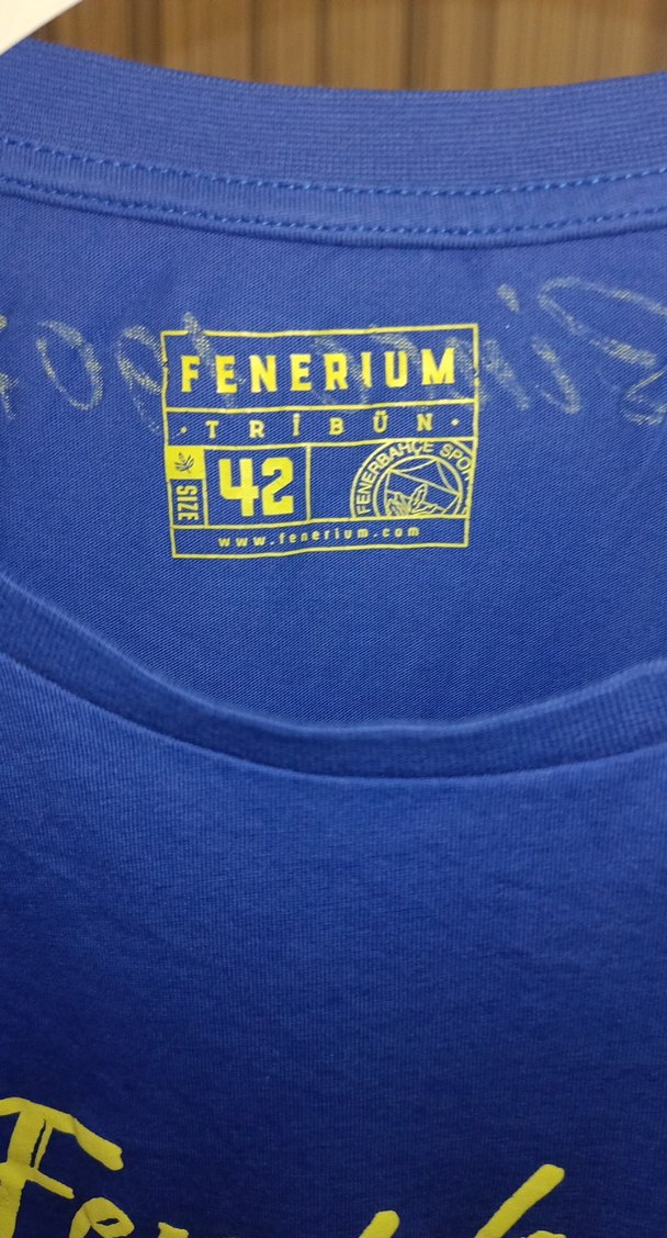 Mavi Fenerbahçe Baskılı Spor Tişört - Görsel 4