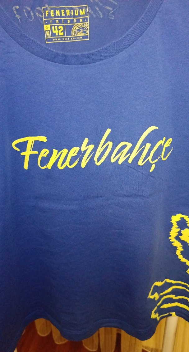 Mavi Fenerbahçe Baskılı Spor Tişört - Görsel 3