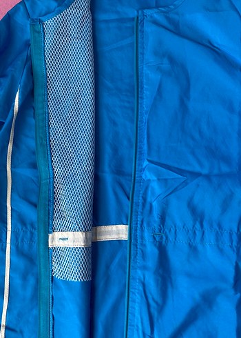 Mavi Haşema - Görsel 3