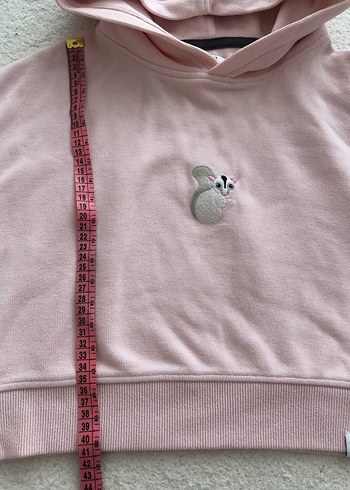 Pembe wwf Kapüşonlu Crop Sweatshirt - Görsel 4