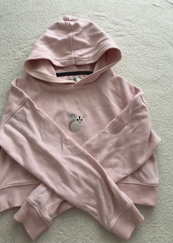 Pembe wwf Kapüşonlu Crop Sweatshirt - Görsel 2