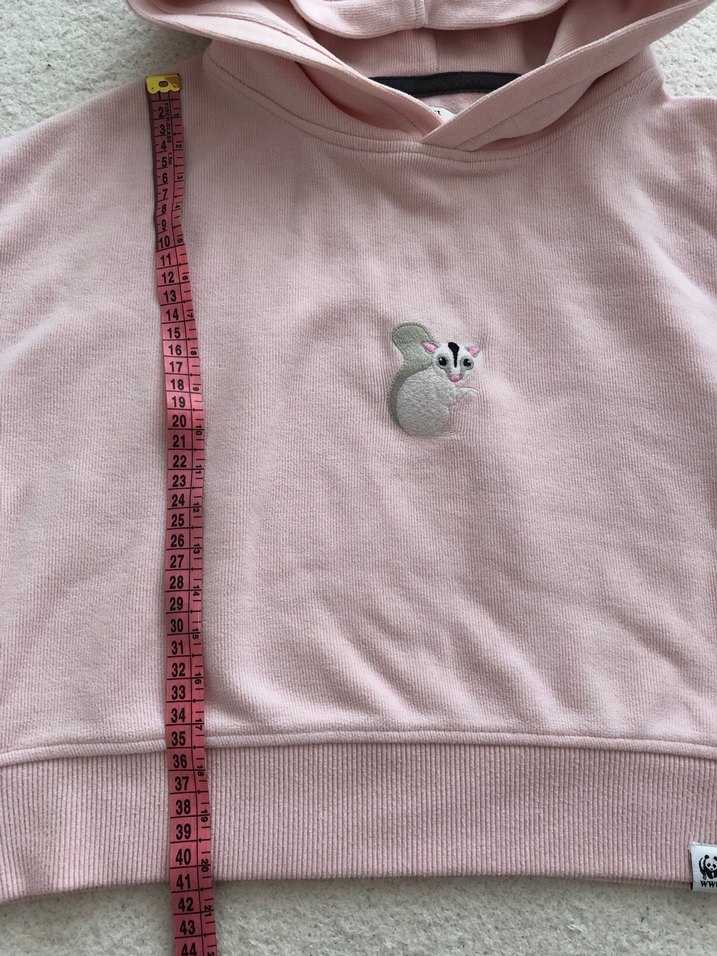 Pembe wwf Kapüşonlu Crop Sweatshirt - Görsel 4