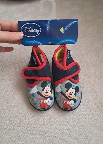 Walt Disney World 23