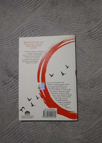  İyileştiren Sevgili Arkadaş Aile - T. Nhat Hanh