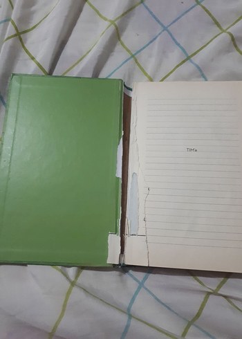 Saftirik Greg'in Günlüğü: Türünün Son Örneği - Görsel 2