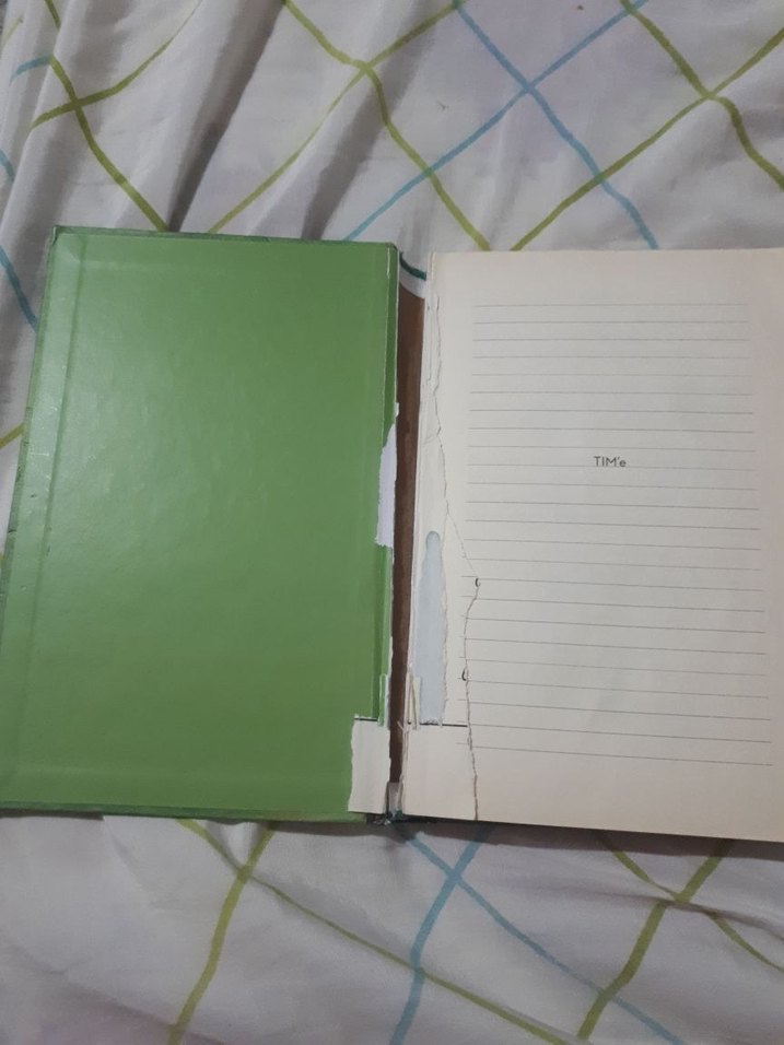 Saftirik Greg'in Günlüğü: Türünün Son Örneği - Görsel 2