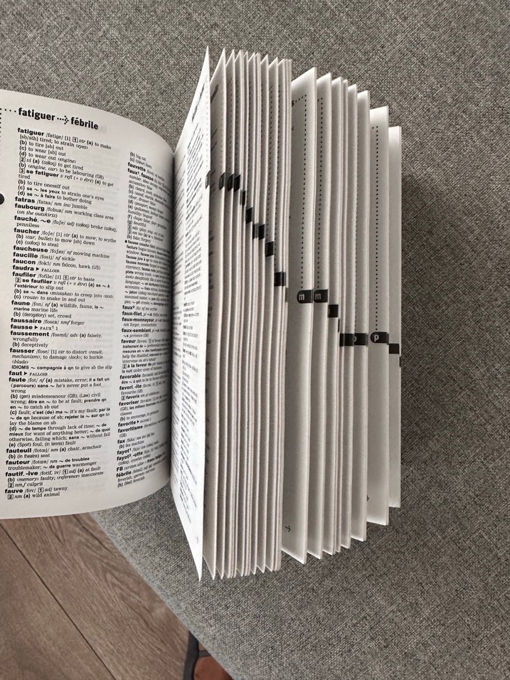 Fransızca Sözlük ve Dilbilgisi Seti - Görsel 2