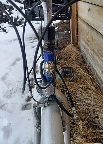 Bianchi şehir bisikleti  - Görsel 3