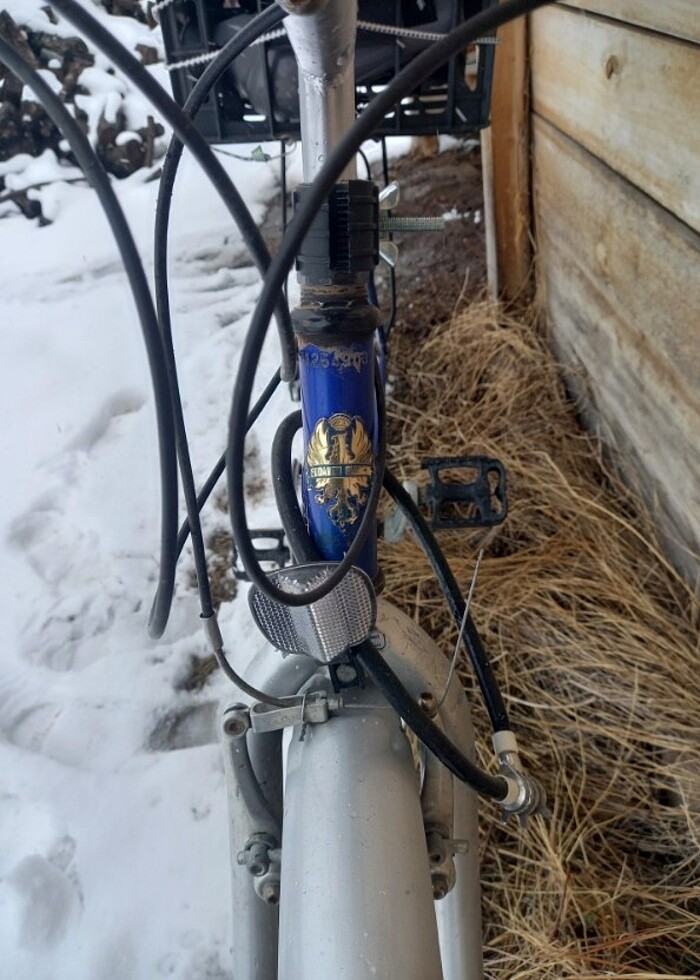 Bianchi şehir bisikleti  - Görsel 3