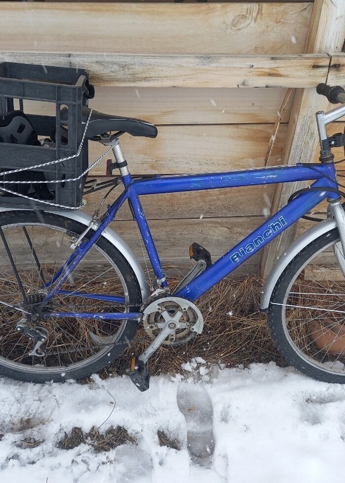 Bianchi şehir bisikleti  - Görsel 4