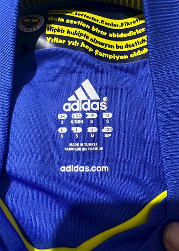 Erkek Mavi Kısa Kollu Fenerbahçe Forma - Görsel 3
