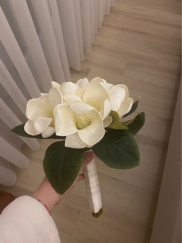 Diğer Gelin çiçeği manolya