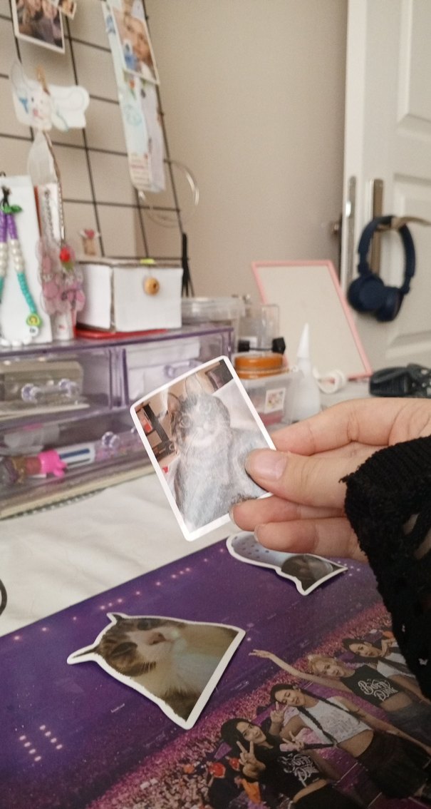 3 adet kedili komik sticker - Görsel 3