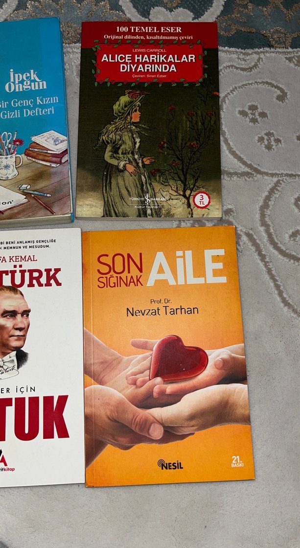 Atatürk Nutuk ve Diğer Edebiyat Kitapları Seti - Görsel 3