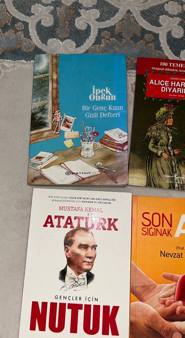 Atatürk Nutuk ve Diğer Edebiyat Kitapları Seti - Görsel 4