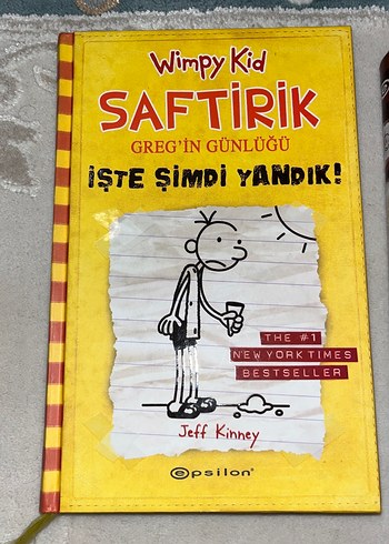 Saftirik Greg'in Günlüğü - Görsel 2