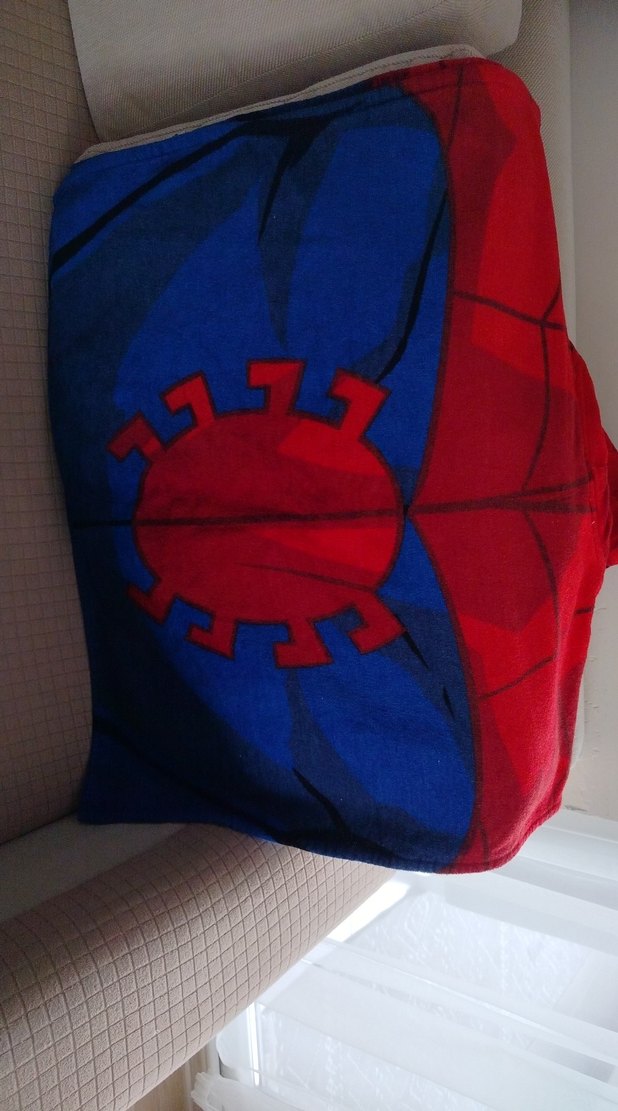 Örümcek Adam Baskılı Kapüşonlu Erkek Çocuk Bornozu - Görsel 3