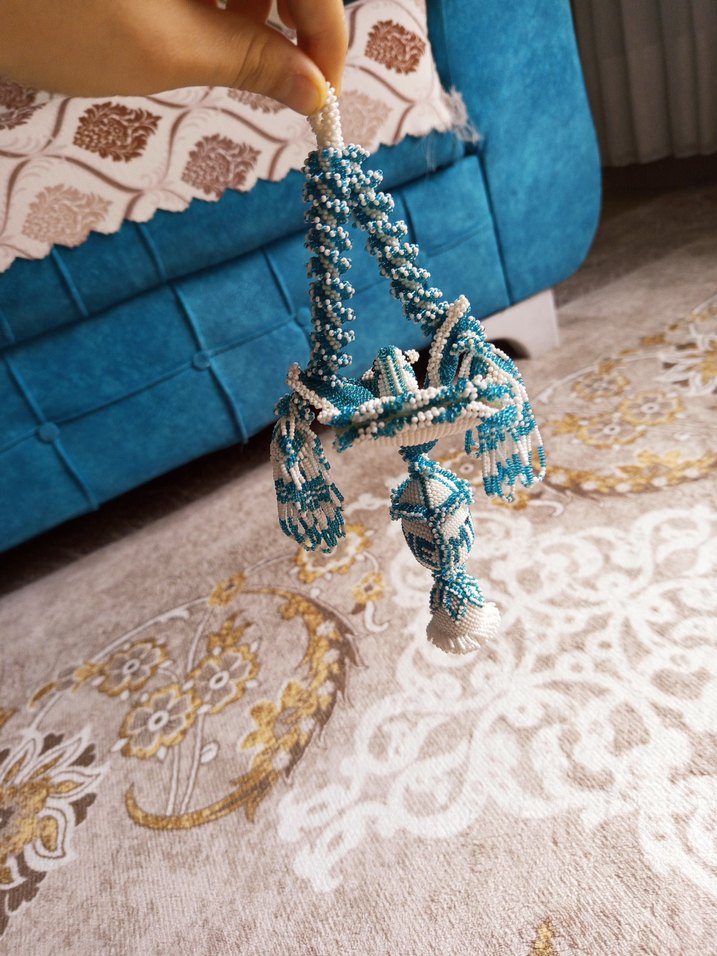 Püsküllü Turkuaz 
Kuş - Görsel 5