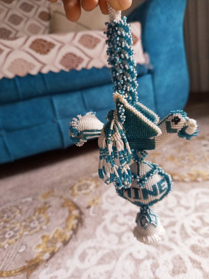 Püsküllü Turkuaz 
Kuş - Görsel 3