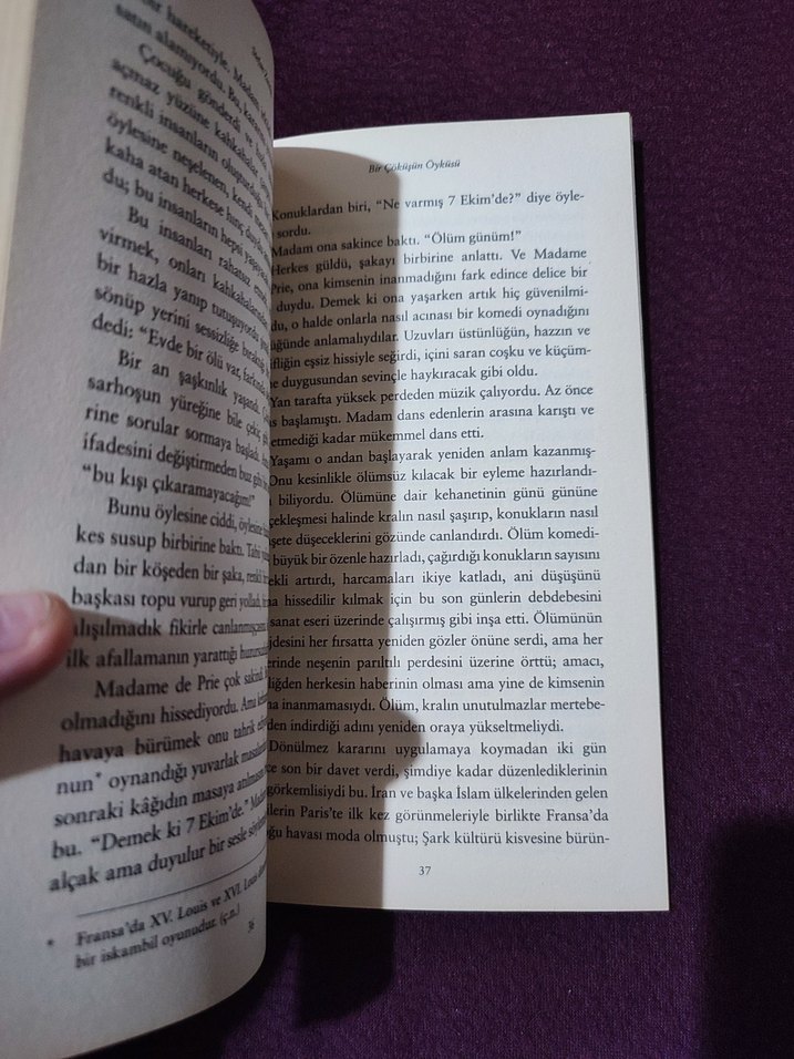 Bir Çöküşün Öyküsü - Stefan Zweig - Görsel 3