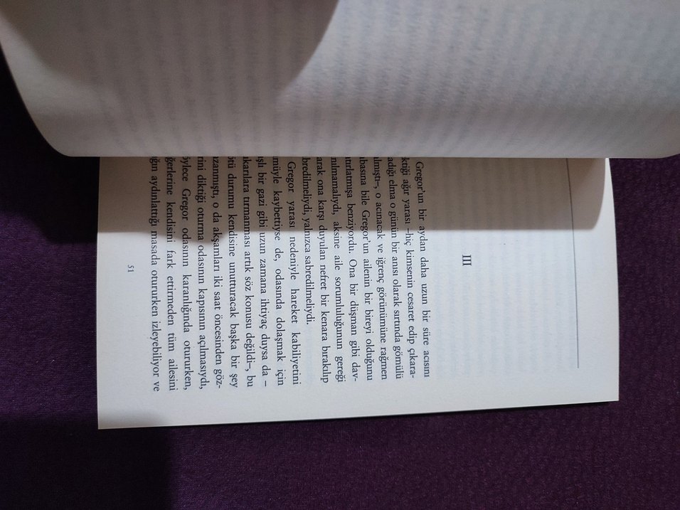 Franz Kafka - Dönüşüm (Modern Klasikler 26) - Görsel 3