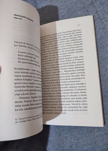 Yürümenin Felsefesi - Frédéric Gros - Görsel 3