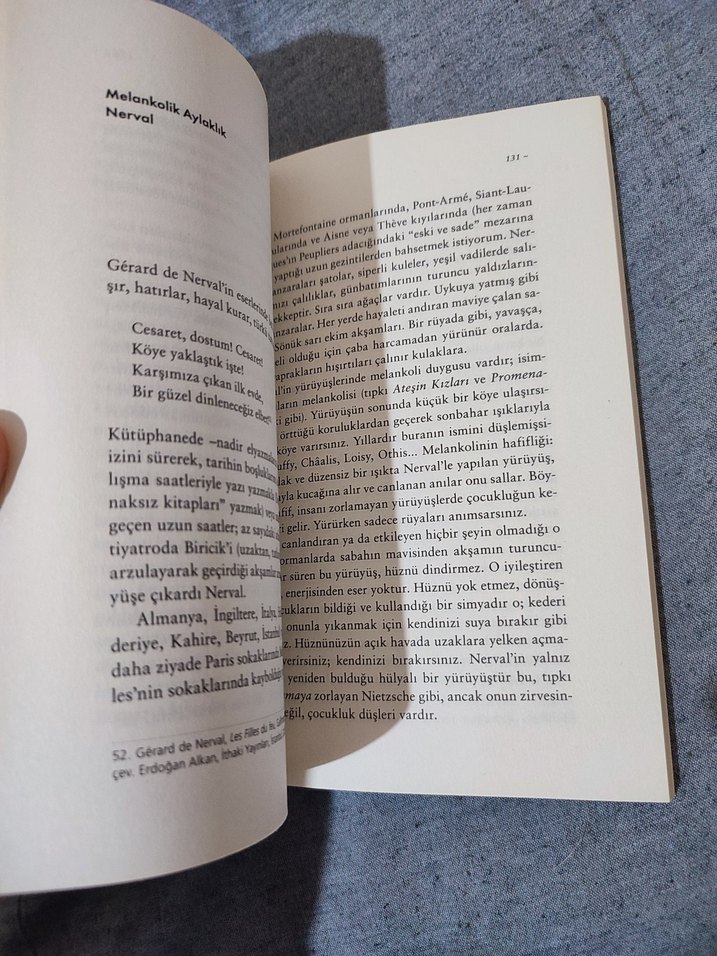 Yürümenin Felsefesi - Frédéric Gros - Görsel 3