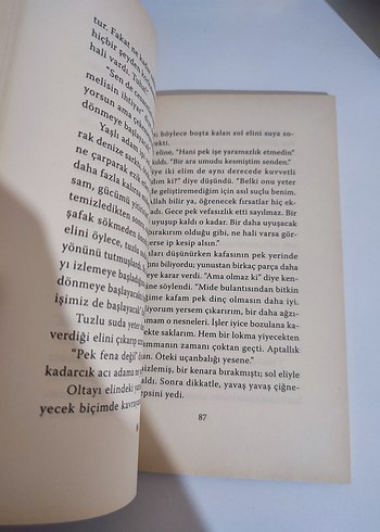 Yaşlı Adam ve Deniz - Ernest Hemingway - Görsel 3