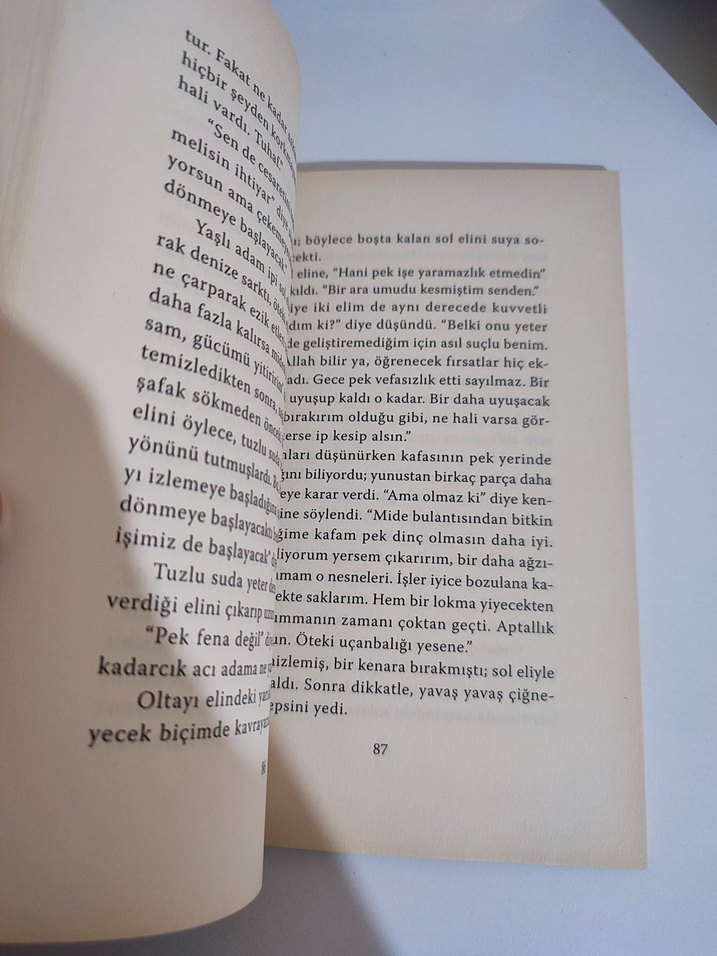 Yaşlı Adam ve Deniz - Ernest Hemingway - Görsel 3