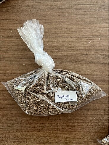 Maydonoz tohumu 100gr