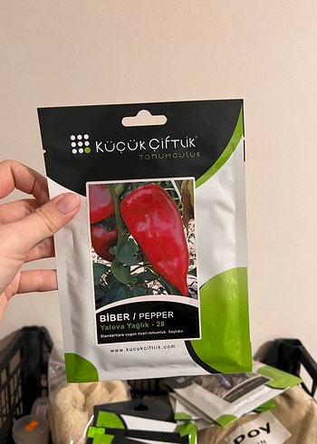 8 çeşit tohum küçükçiftlik - Görsel 7