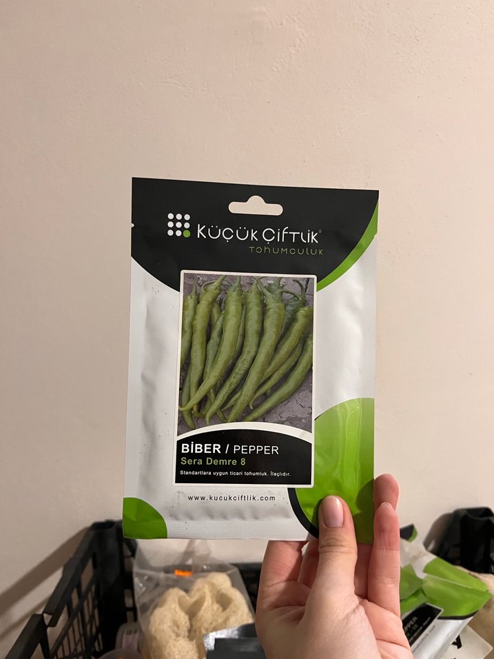 8 çeşit tohum küçükçiftlik - Görsel 3