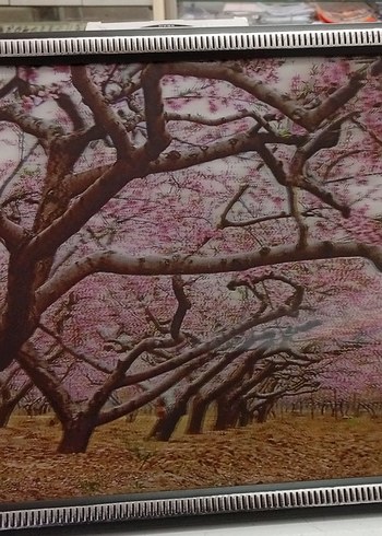 Beyaz Kedi Aksesuarı Çerçeveli Tablo 3 boyutlu - Görsel 12