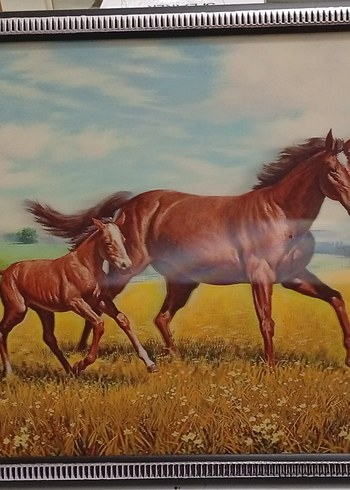 Beyaz Kedi Aksesuarı Çerçeveli Tablo 3 boyutlu - Görsel 2