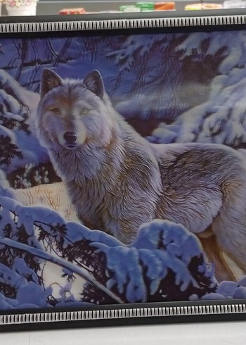 Beyaz Kedi Aksesuarı Çerçeveli Tablo 3 boyutlu - Görsel 6