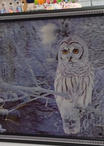 Beyaz Kedi Aksesuarı Çerçeveli Tablo 3 boyutlu - Görsel 8