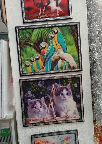 Beyaz Kedi Aksesuarı Çerçeveli Tablo 3 boyutlu - Görsel 9