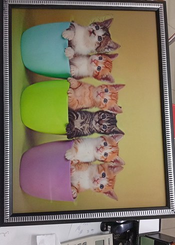 çerçeve - Görsel 2