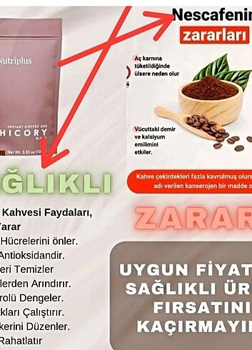 Nutriplus Kolajenlı Hındıba Kahve 100 gr 