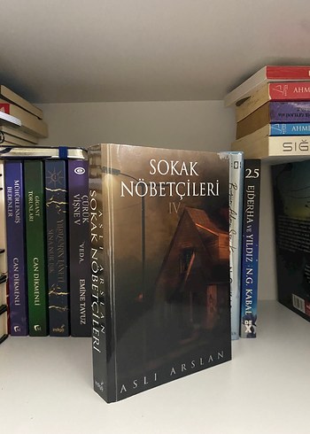 Sokak Nöbetçileri IV - Aslı Arslan