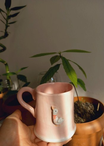 Pastel Pembe Seramik Kupa ördekli kupa mug seramik fincan - Görsel 6