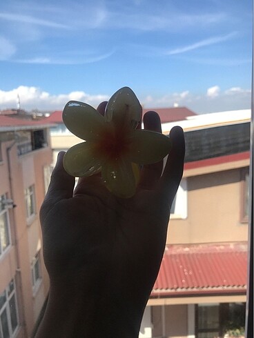 Diğer SARI LOTUS TOKA