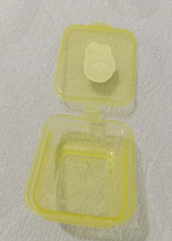 Sarı kuru kedilii - Görsel 2