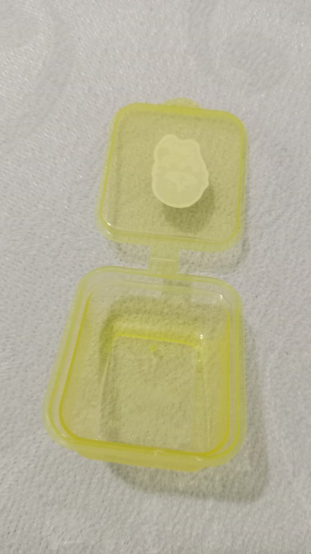 Sarı kuru kedilii - Görsel 2