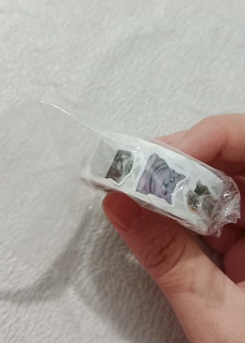 sticker kedili - Görsel 2